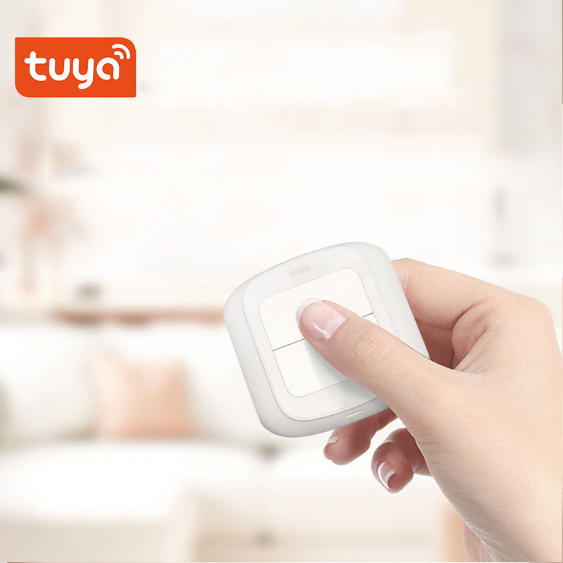 Tuya Zigbee WiFi Smart Switch  - Home Automation Ideas recension och pris